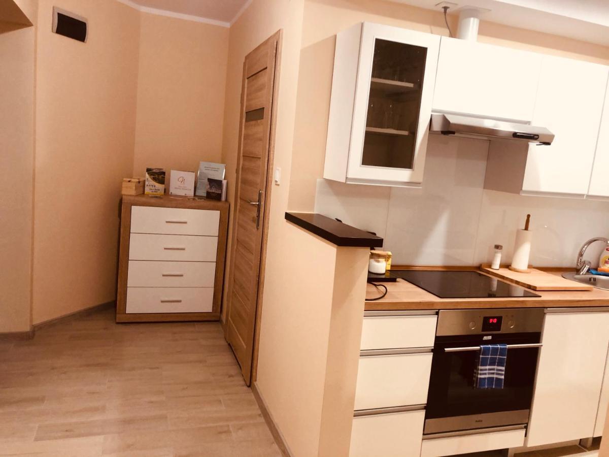Apartamenty Alicja Dzierzoniow Ngoại thất bức ảnh